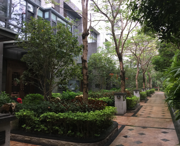 微信截图_20190312164800.png